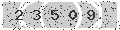 verify code